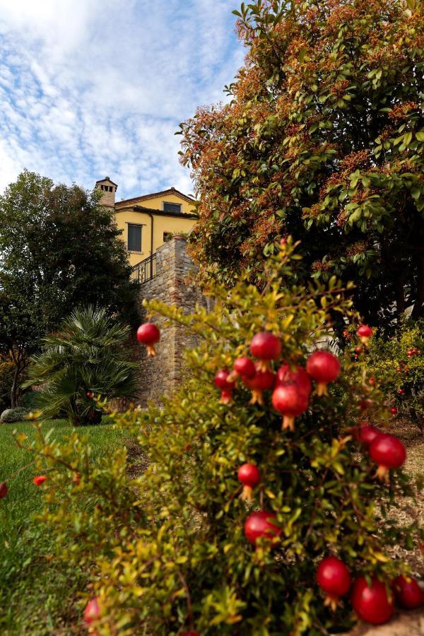 Hotel Corte Dei Tini Teramo Eksteriør billede